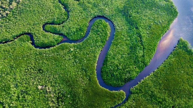亚马逊雨林鸟瞰图